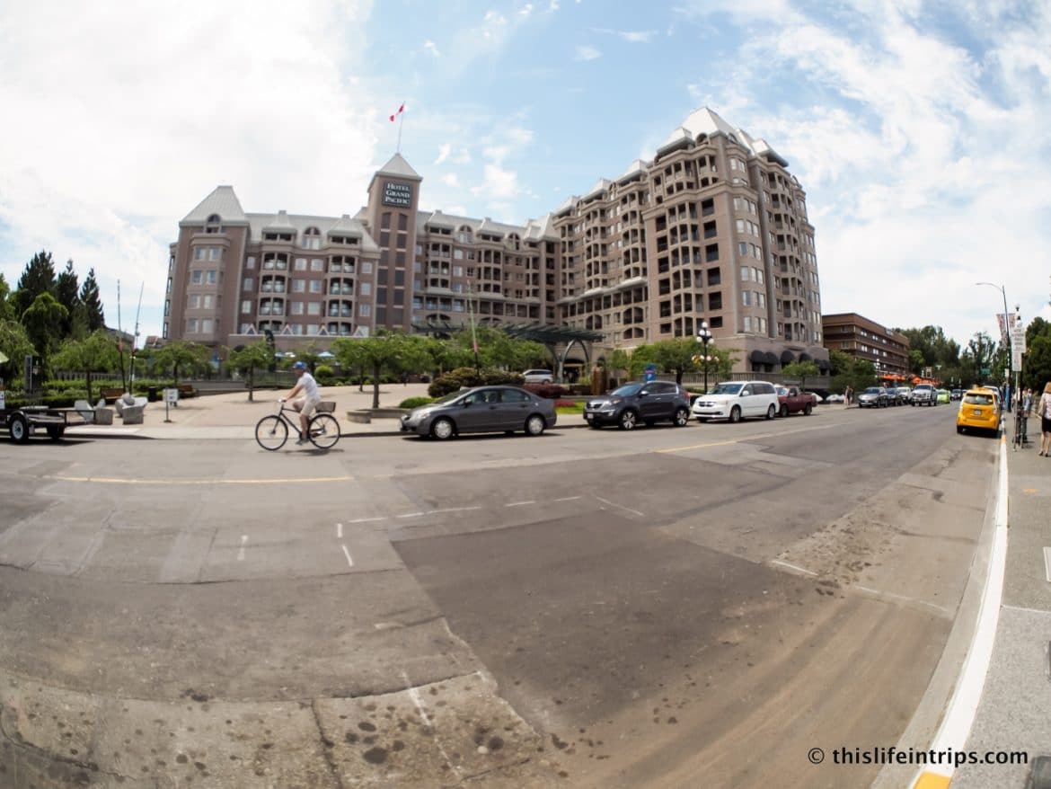 Exploring Victoria’s Food & Drink Scene - This Life in Trips