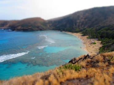 Oahu Food and beer, beer and food. 3