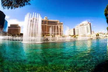 Learning To Love Las Vegas 4