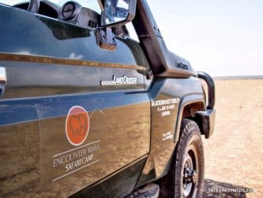 5 Reasons to Choose Encounter Mara for your Safari 6