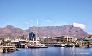 Why I Decided to Live in Cape Town 10