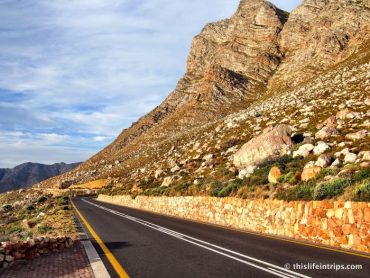 The Garden Route in 3 Days 8