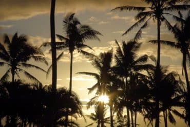 7 Reasons you Should Consider a Fiji Honeymoon 3