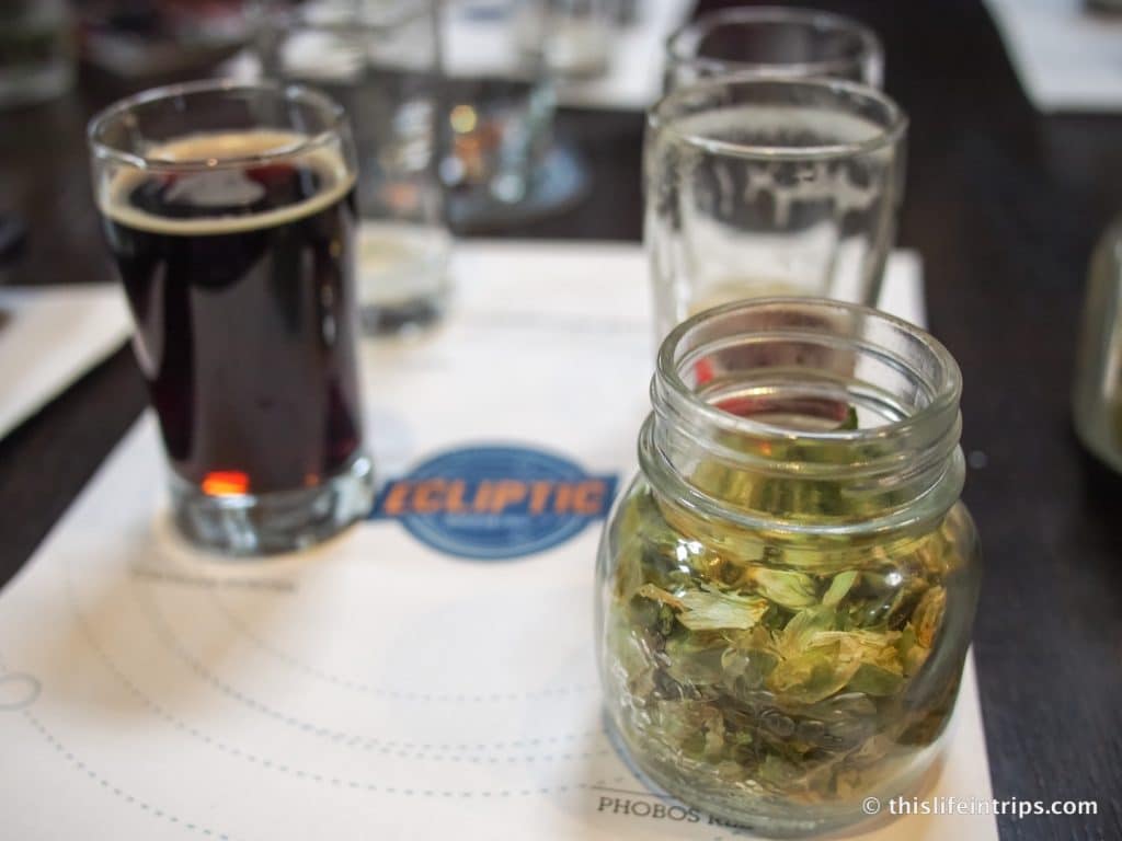 Learning about hops farming and beer brewing.