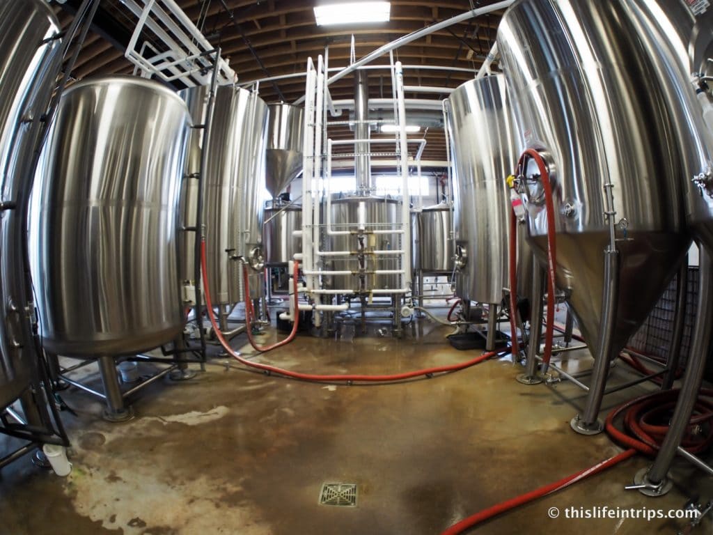 Understanding Beertopia with Vancouver Brewery Tours