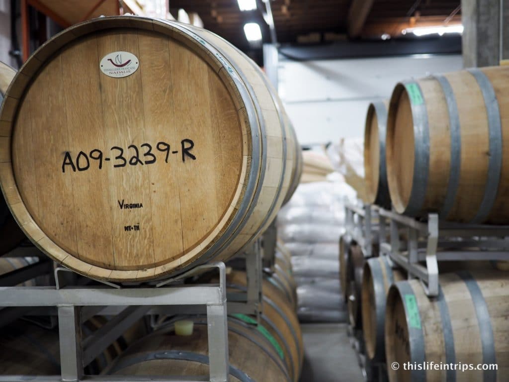 Understanding Beertopia with Vancouver Brewery Tours
