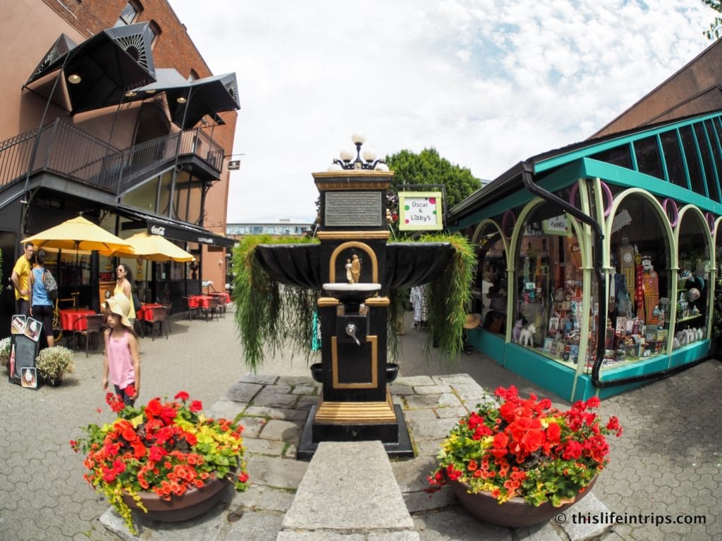 A Taste of Victoria food Tour Review | Where History & Food Meet