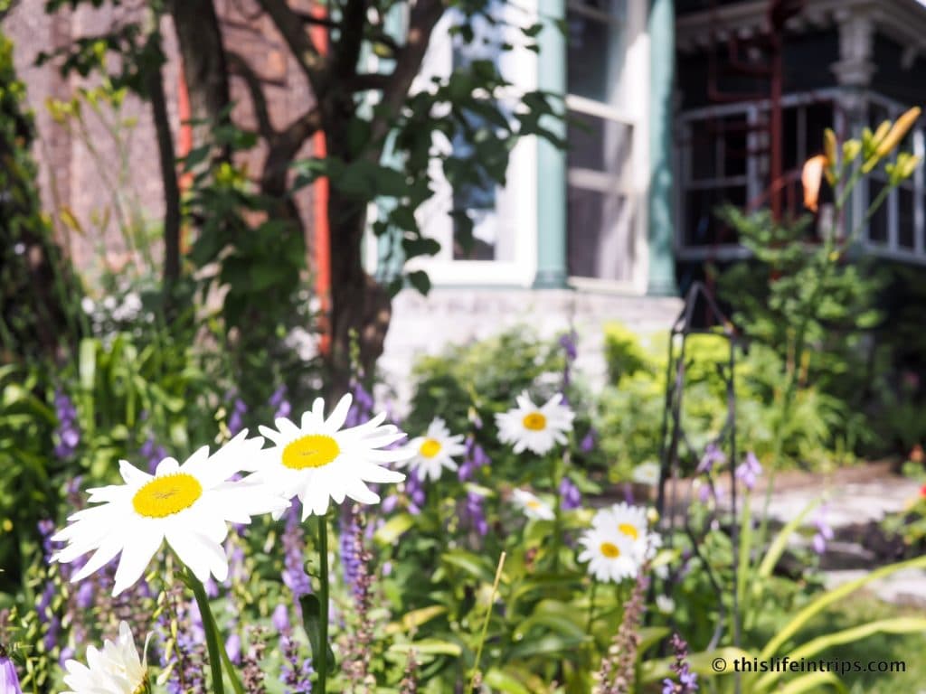 The beautiful garden of Hochelaga Inn