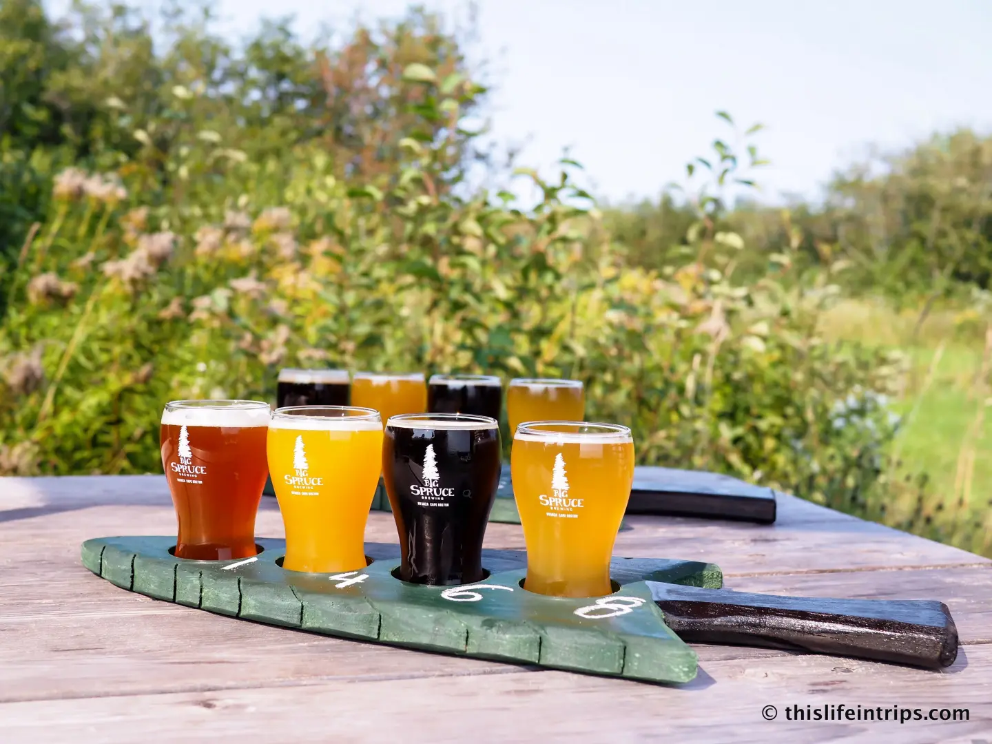 Flight of beer at Spruce Brewing on Cape Breton Island.
