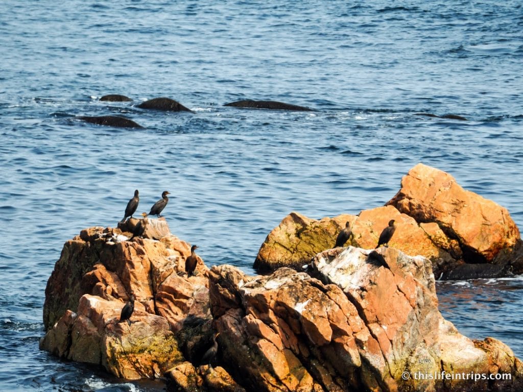3 days Exploring Cape Breton
