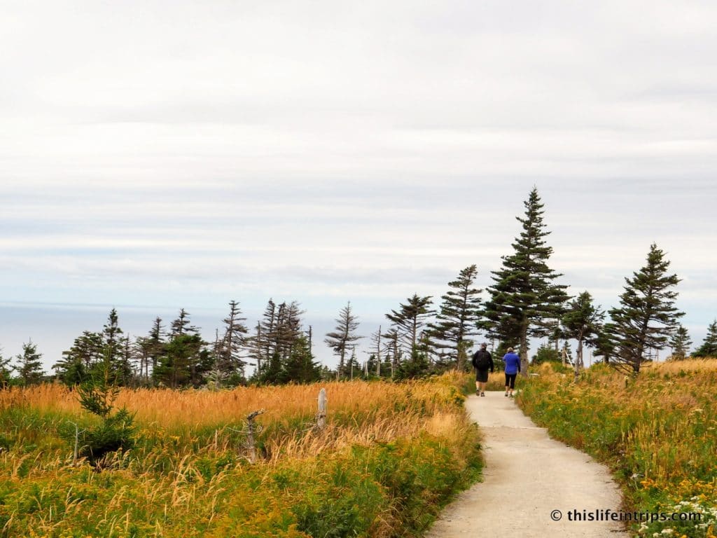 3 days Exploring Cape Breton