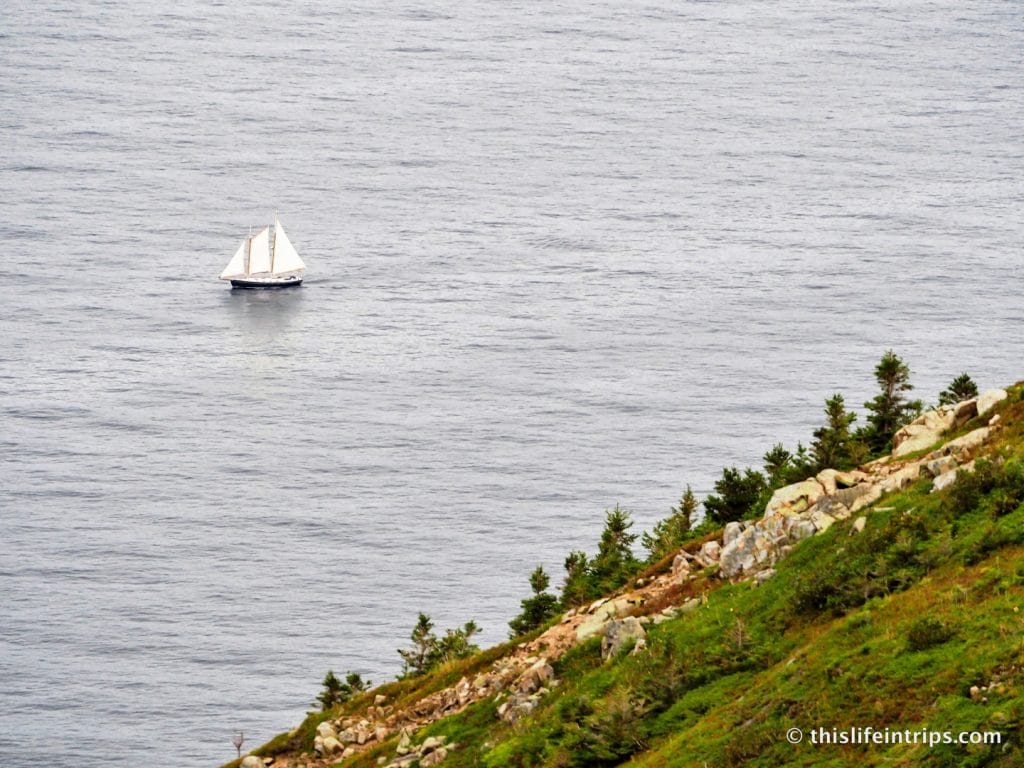 3 days Exploring Cape Breton