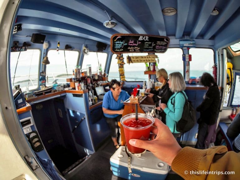 Learning to Lobster the Acadian Way Shediac Lobster Tales Review