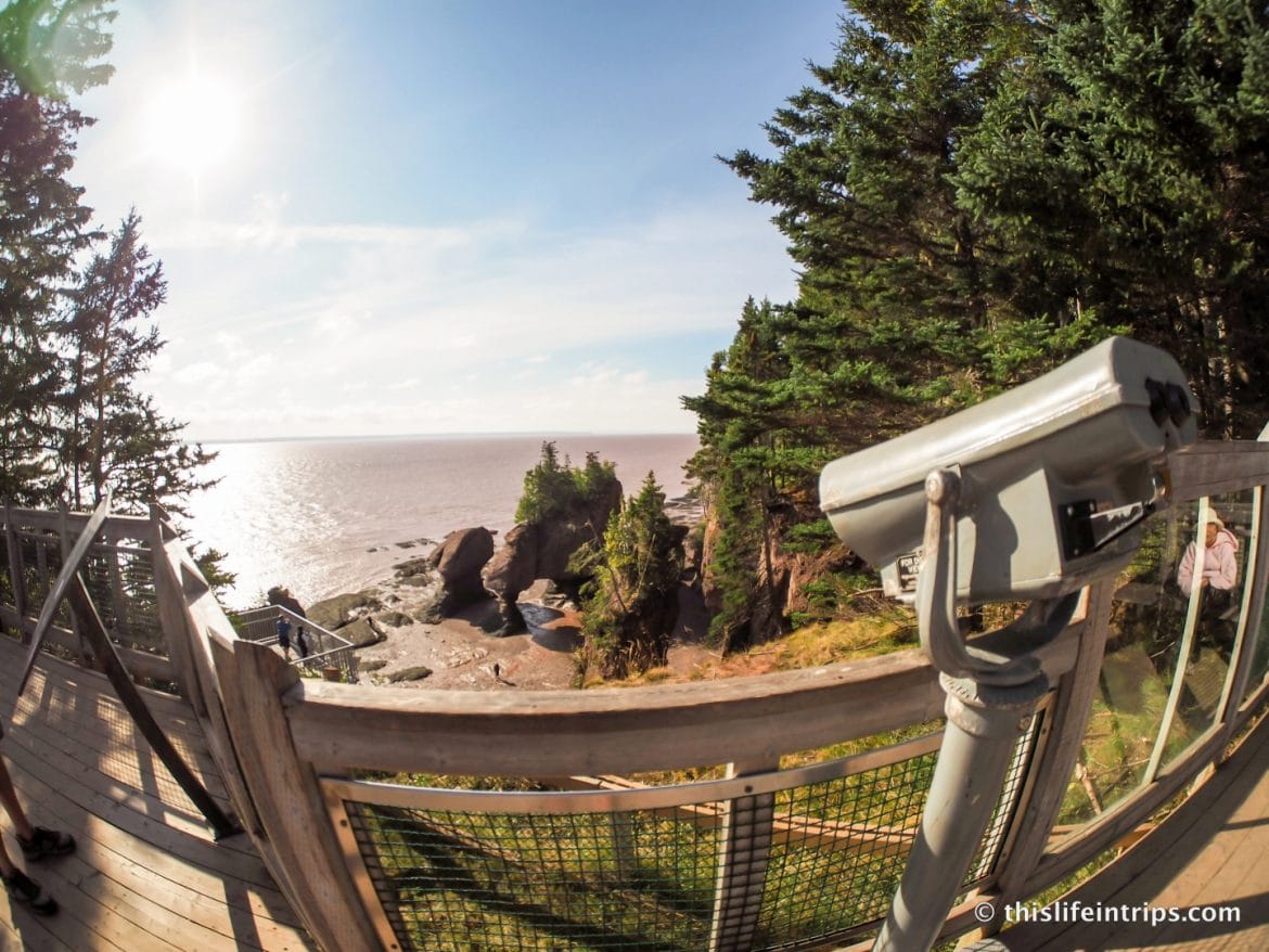 Visiting Hopewell Rocks Review: The Highs and Lows (2025)