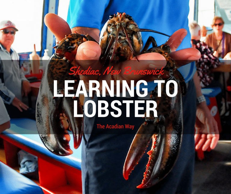 Learning to Lobster the Acadian Way Shediac Lobster Tales Review