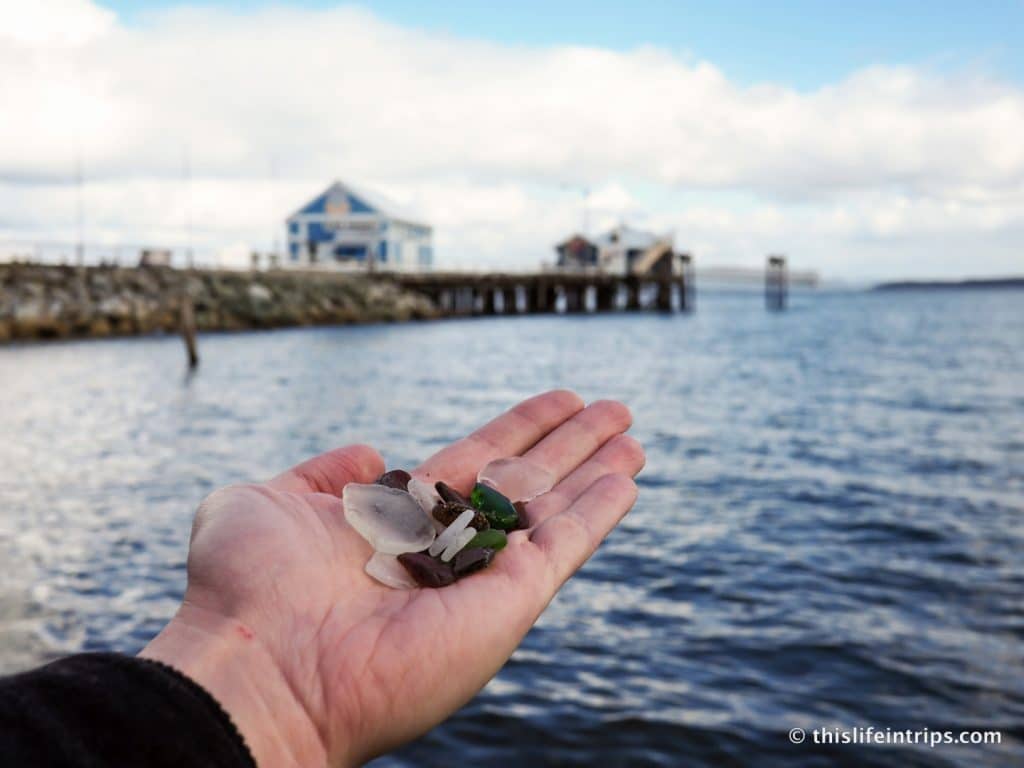 Road Tripping Around Vancouver Island's Pacific Marine Circle Route