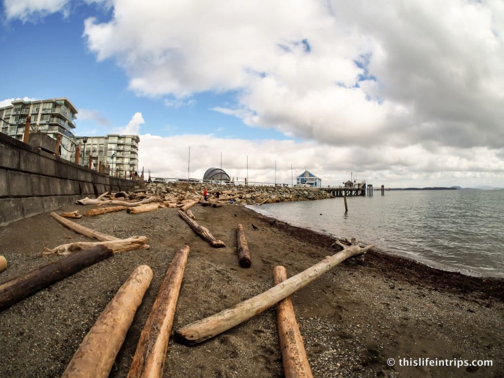 Road Tripping Around Vancouver Island's Pacific Marine Circle Route