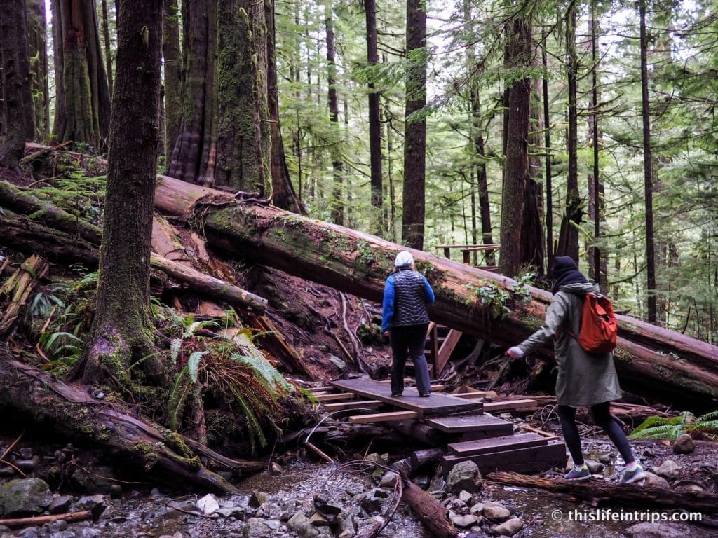Road Tripping Around Vancouver Island's Pacific Marine Circle Route