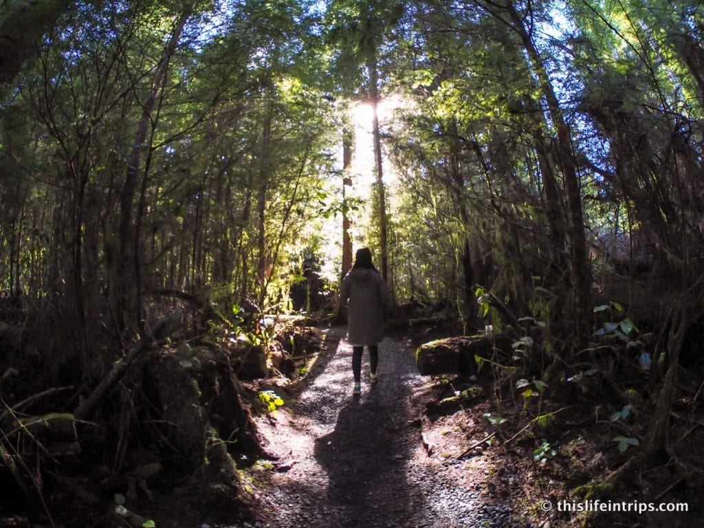 Road Tripping Around Vancouver Island's Pacific Marine Circle Route