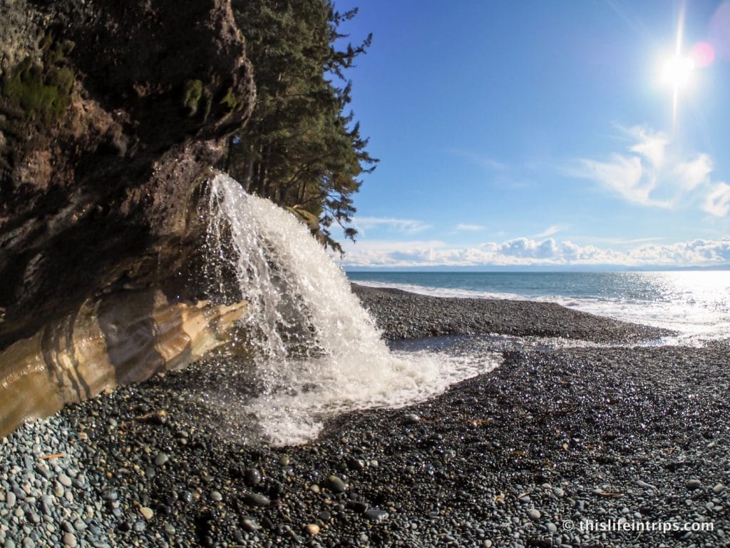 Road Tripping Around Vancouver Island's Pacific Marine Circle Route
