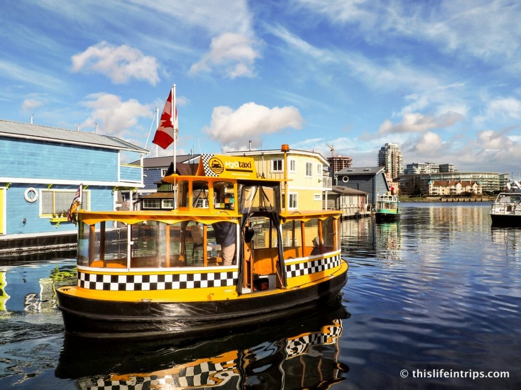Road Tripping Around Vancouver Island's Pacific Marine Circle Route