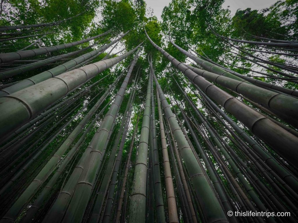 Three Days in Kyoto – What to See, Do, Eat and Drink