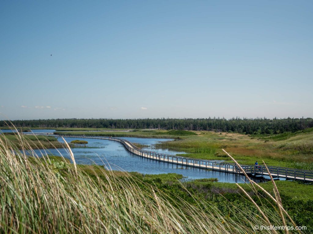 Greenwich Dunes floating boardwalk