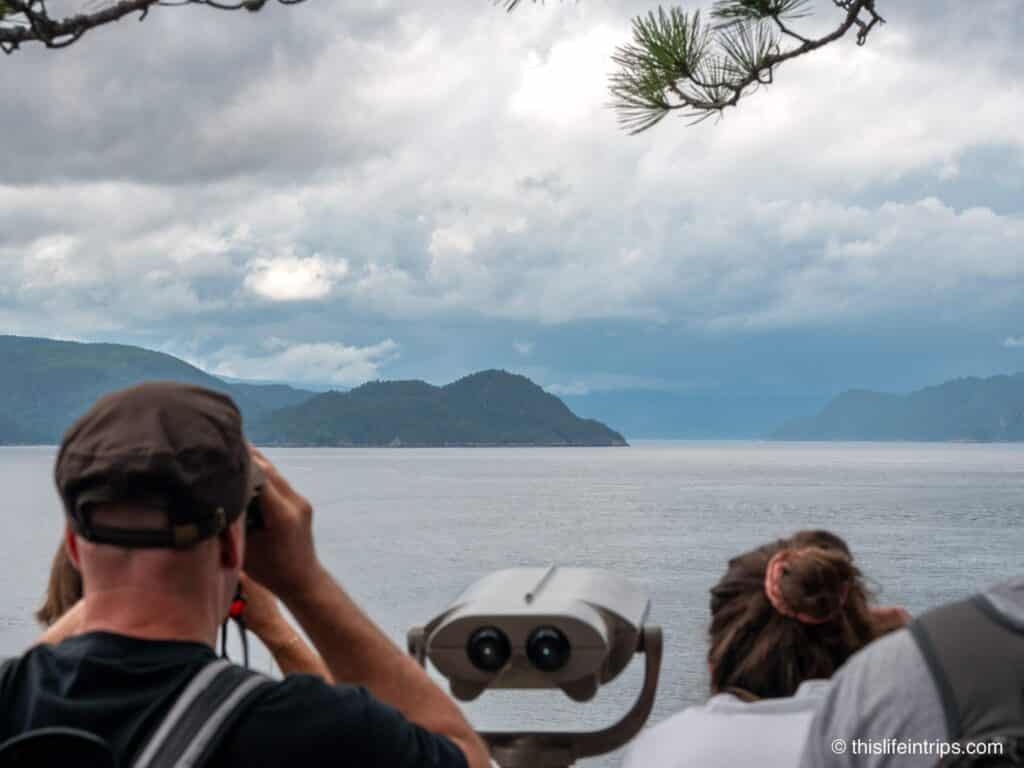 Man Whale watching from the Halte du Béluga