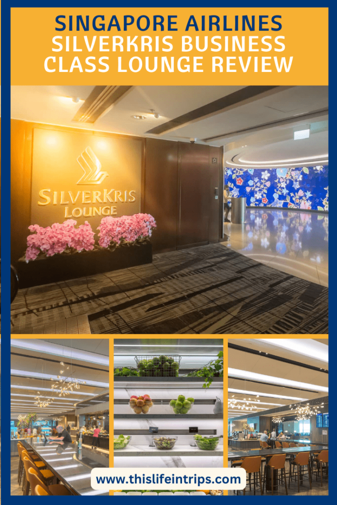 Silverkris lounge terminal 3 review pinterest image