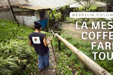 Medellin Coffee Tour: Is it Worth It and Which One To Take