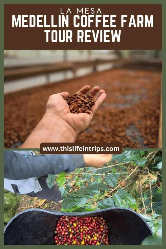 Medellin coffee tour pinterest image