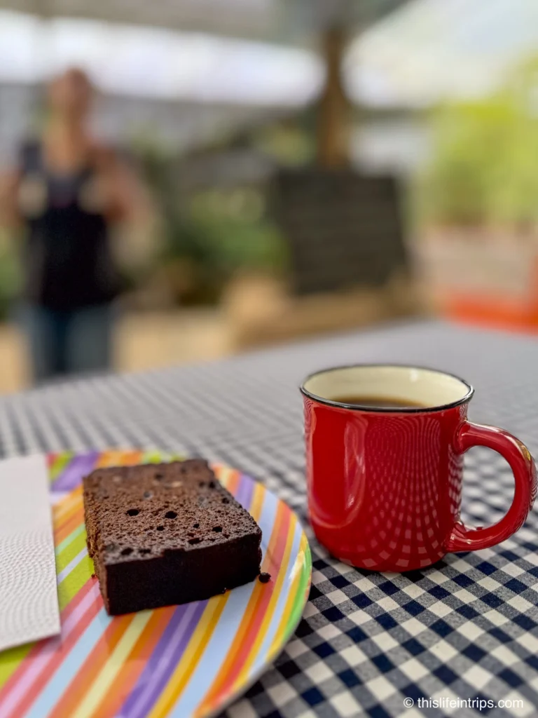 Getting a rundown on a Medellin coffee tour with a fresh cup