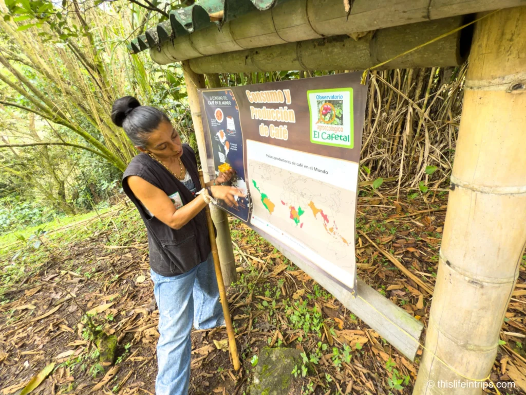 Medeillin coffee farm tour guide explaining Colombia coffee production