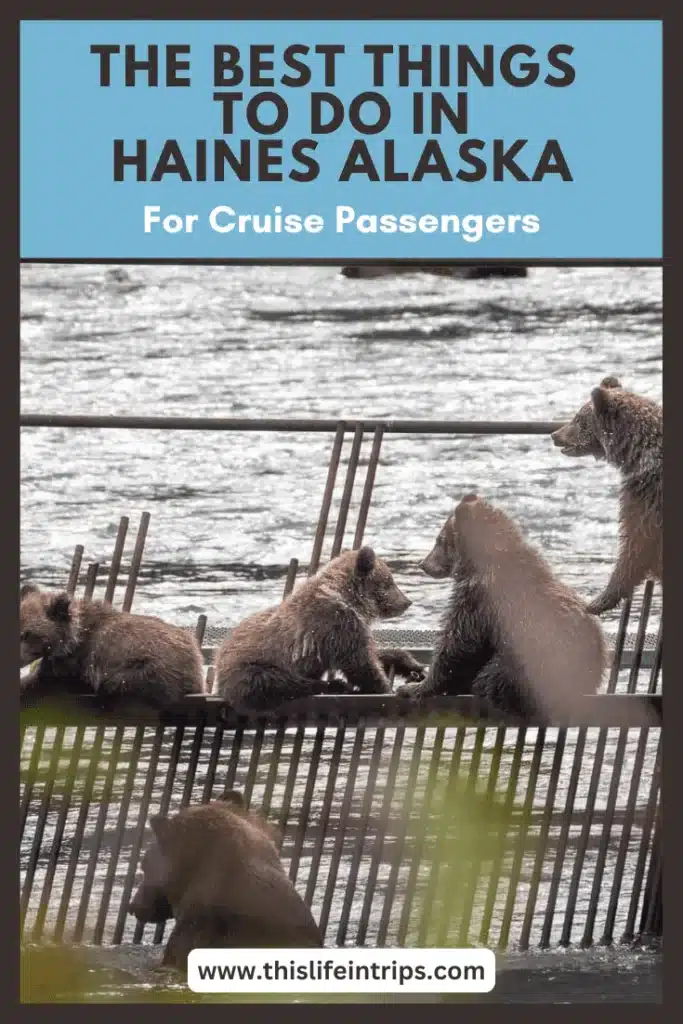 things to do in Haines Alaska pinterest image