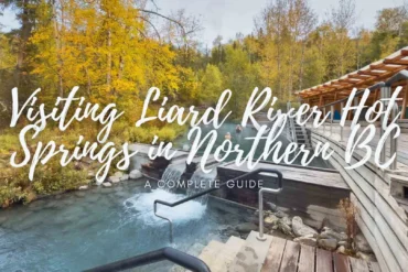 Visiting Liard River Hot Springs: A Long-Awaited Soak in Canada’s North