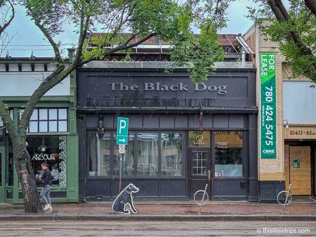 The Black Dog, Edmonton Whyte Ave